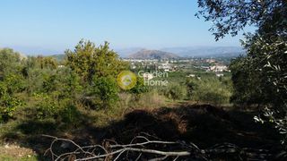 Αγροτεμάχια 4.370 τ.μ. προς πώληση, Καραθώνα-thumb-4