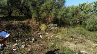Αγροτεμάχια 4.370 τ.μ. προς πώληση, Καραθώνα-thumb-6