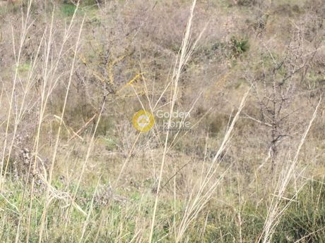 Parcel 6.125sqm for sale-Thermi » Neo Risio