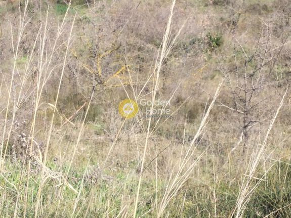 Αγροτεμάχια 6.125 τ.μ. για πώληση, Θεσσαλονίκη - Περιφ/Κοί Δήμοι, Θέρμη