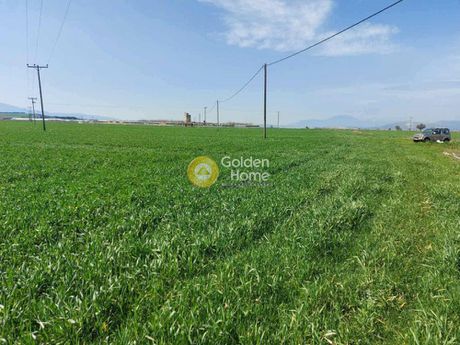 Parcel 57.575sqm for sale-Thiva » Ypato