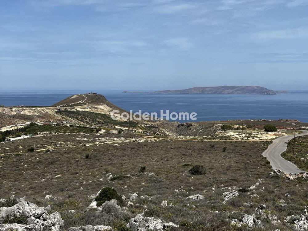 Οικόπεδο 14.300 τ.μ. προς πώληση, Ελιά Γουβών