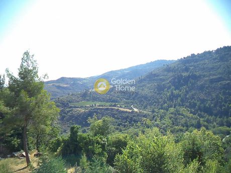 Αγροτεμάχια 855τ.μ. για πώληση-Διακοπτό » Παγιαναίικα