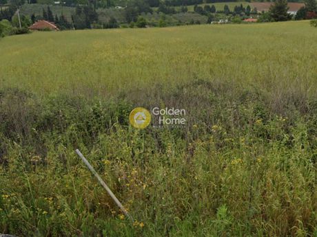 Αγροτεμάχια 8.250τ.μ. για πώληση-Θερμαϊκός » Λιβάδακιο