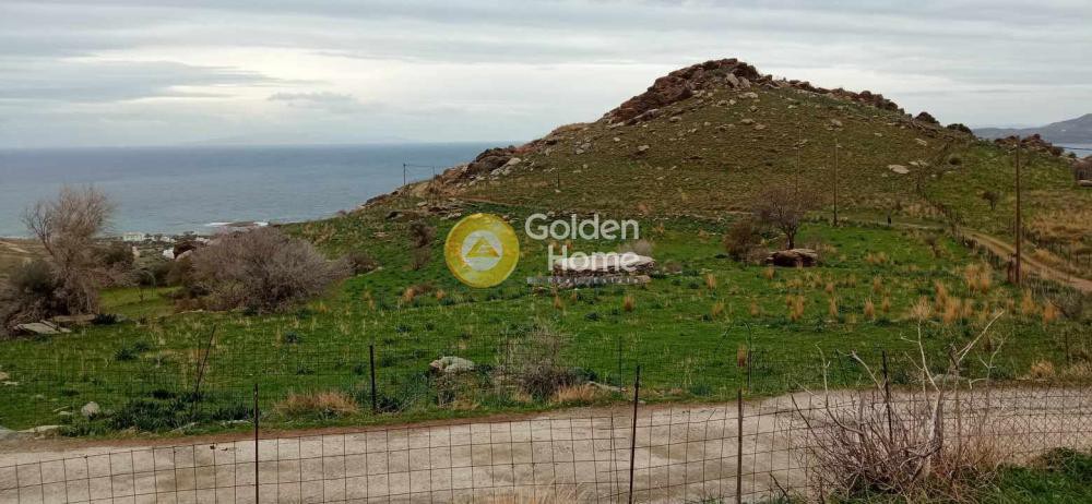Οικόπεδο 12.052 τ.μ. προς πώληση, Μετόχι Καρύστου