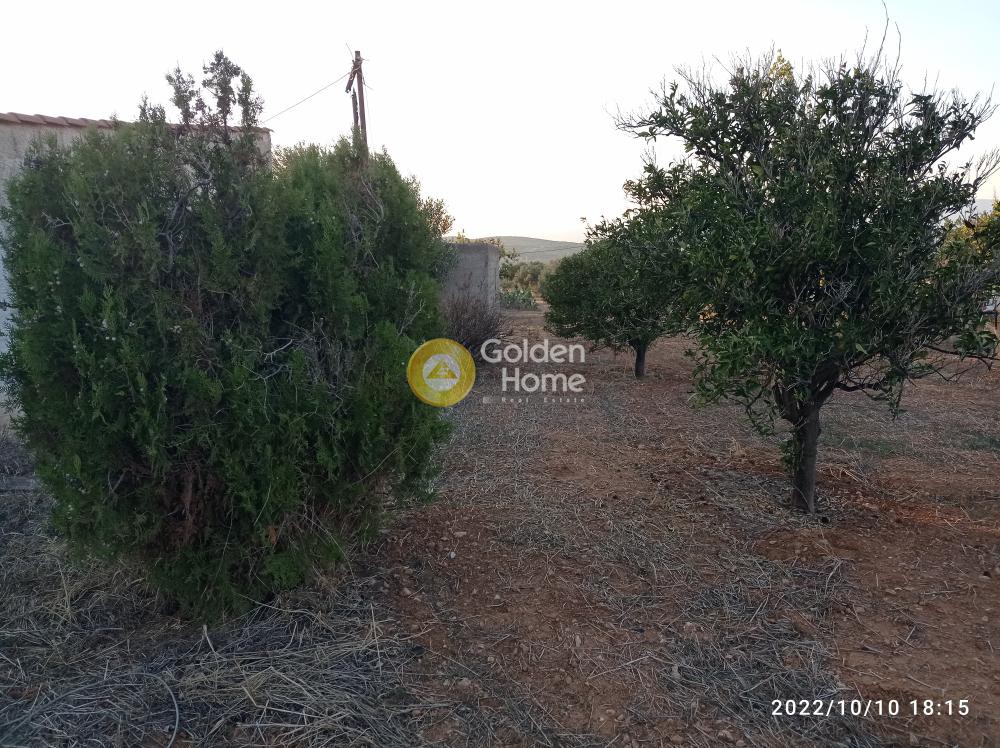 Οικόπεδο 4.000 τ.μ. προς ενοικίαση, Αττική - Υπόλοιπο, Καλύβια Θορικού