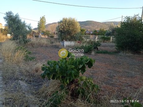 Land plot 4.000sqm for rent-Kalivia Thorikou » Κέντρο