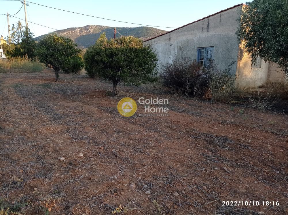 Οικόπεδο 4.000 τ.μ. προς ενοικίαση, Αττική - Υπόλοιπο, Καλύβια Θορικού