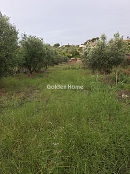 Οικόπεδο 852τ.μ. για πώληση-Γάζι » Άγιος δημήτριος (τ. καραμανλή μετόχι)