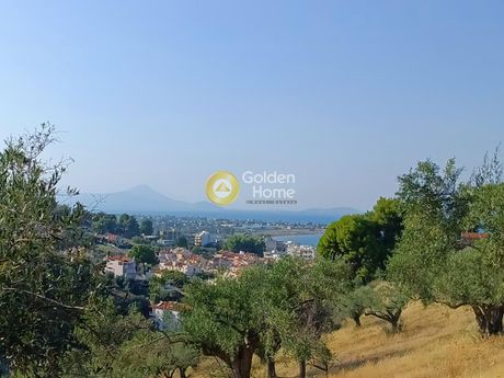 Parcel 24.000sqm for sale-Com. Skalas Oropou » Skala Oropou