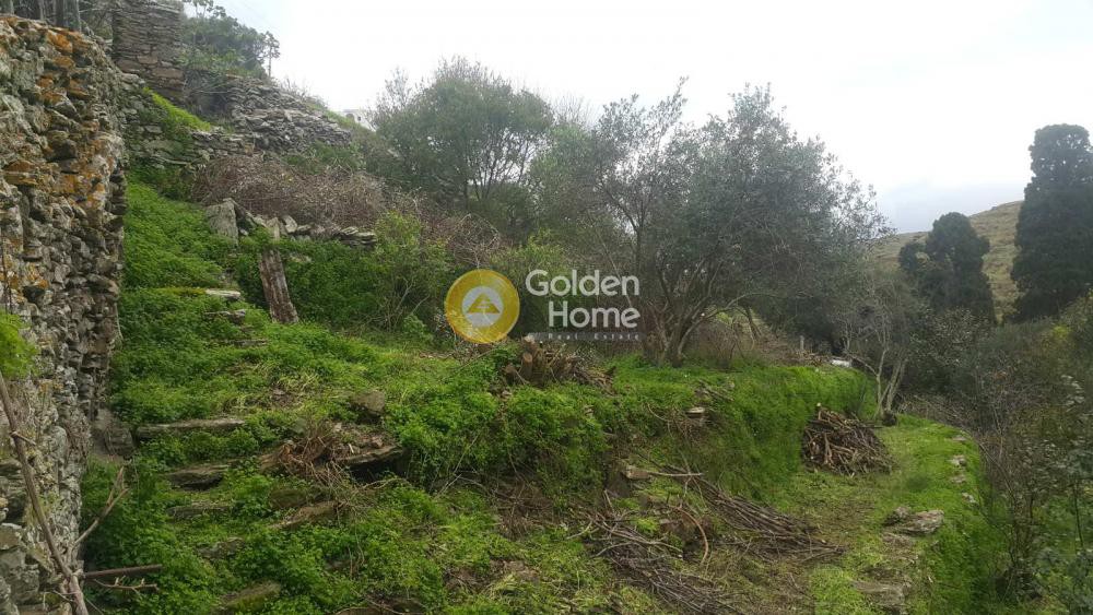 Οικόπεδο 600 τ.μ. προς πώληση, Δρυοπίδα