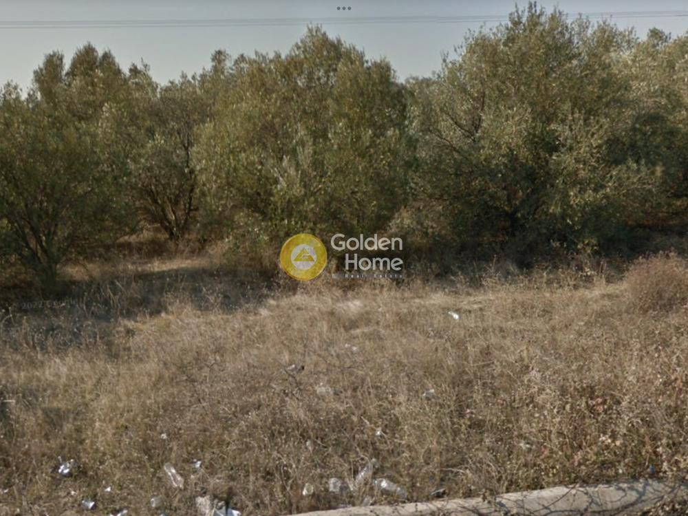 Αγροτεμάχια 7.000 τ.μ. προς πώληση, Νέα Ηράκλεια