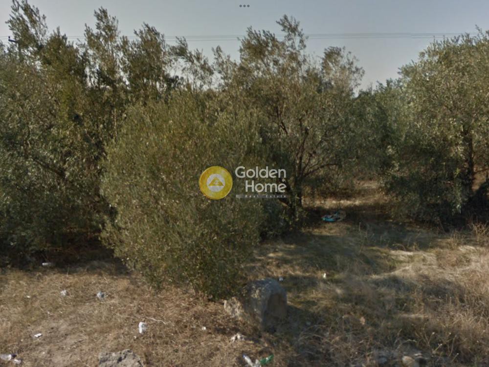 Αγροτεμάχια 7.000 τ.μ. προς πώληση, Νέα Ηράκλεια