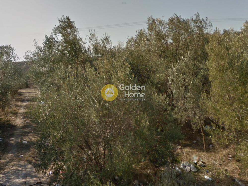Αγροτεμάχια 7.000 τ.μ. προς πώληση, Νέα Ηράκλεια