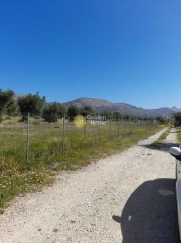 Αγροτεμάχια 577τ.μ. για πώληση-Νέα πέραμος (μεγάλο πεύκο) » Νέα πέραμος
