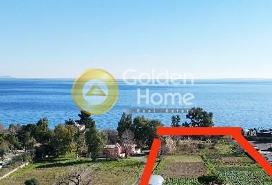 Αγροτεμάχια 6.000τ.μ. για πώληση-Λεωνίδιο » Πλάκα