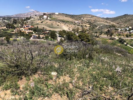 Οικόπεδο 16.000τ.μ. για ενοικίαση-Παλλήνη » Κέντρο