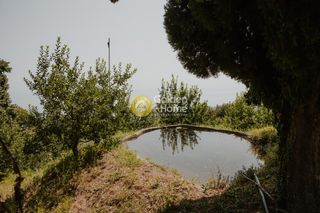 Οικόπεδο 10.573 τ.μ. για πώληση