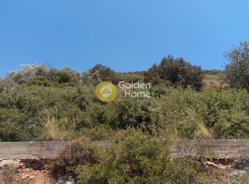 Αγροτεμάχια 7.500 τ.μ. πρός πώληση, Μαγνησία, Αγριά