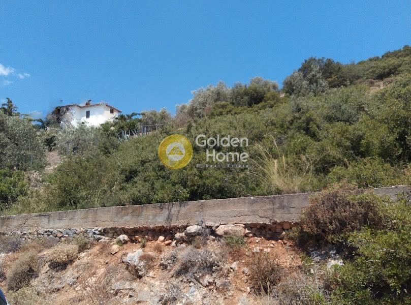 Αγροτεμάχια 7.500 τ.μ. πρός πώληση, Μαγνησία, Αγριά