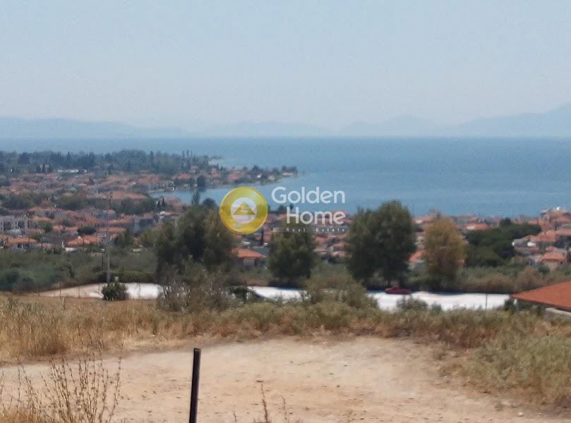 Αγροτεμάχια 7.500 τ.μ. πρός πώληση, Μαγνησία, Αγριά