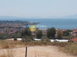 Αγροτεμάχια 7.500 τ.μ. για πώληση