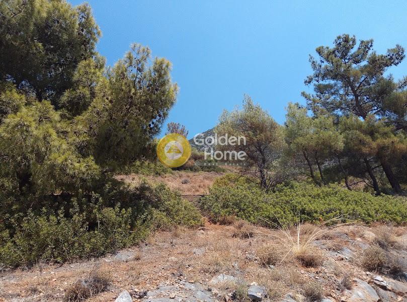 Αγροτεμάχια 7.500 τ.μ. πρός πώληση, Μαγνησία, Αγριά