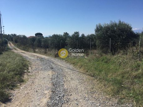 Αγροτεμάχια 4.181 τ.μ. για πώληση