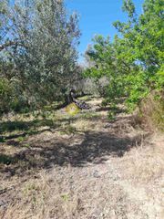 Οικόπεδο 790 τ.μ. για πώληση