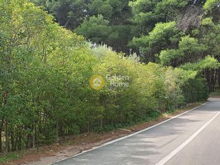 Οικόπεδο 1.430 τ.μ. προς πώληση