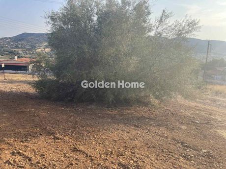 Οικόπεδο 255τ.μ. για πώληση-Σαλαμίνα » Άγιος αθανάσιος