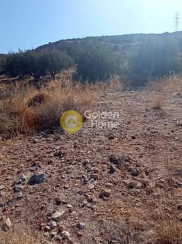 Αγροτεμάχια 2.800τ.μ. για πώληση-Βραχάσι » Καρτσινιανός