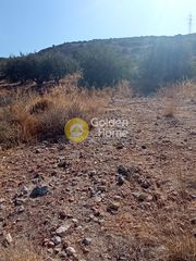 Αγροτεμάχια 2.800 τ.μ. για πώληση