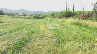 Αγροτεμάχια 15.000 τ.μ. για πώληση