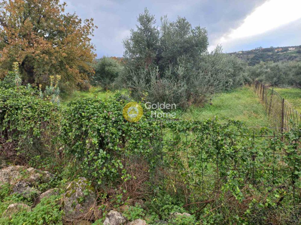 Οικόπεδο 2.000 τ.μ. προς πώληση, Άγιος Παύλος Βάμου