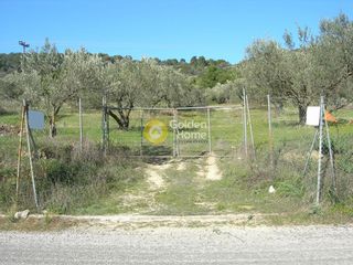 Αγροτεμάχια 2.664 τ.μ. προς πώληση