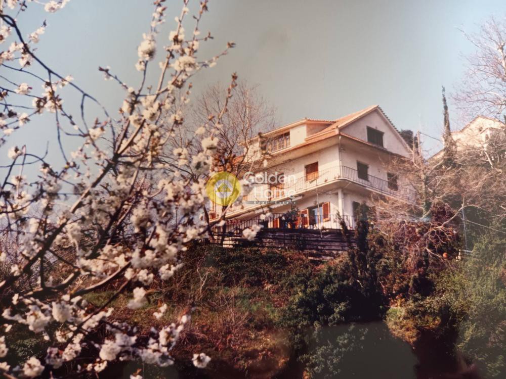 Μονοκατοικία 332 τ.μ. προς πώληση, Εβροστίνα
