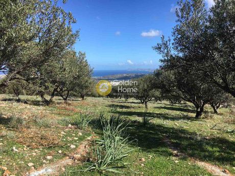 Land plot 11.000 sqm for sale