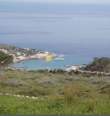 Οικόπεδο 7.000 τ.μ. για πώληση
