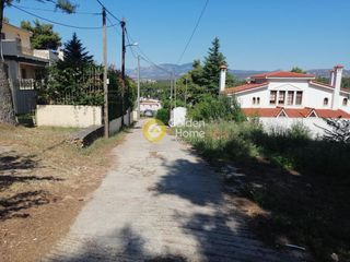Οικόπεδο 1.000 τ.μ. προς πώληση