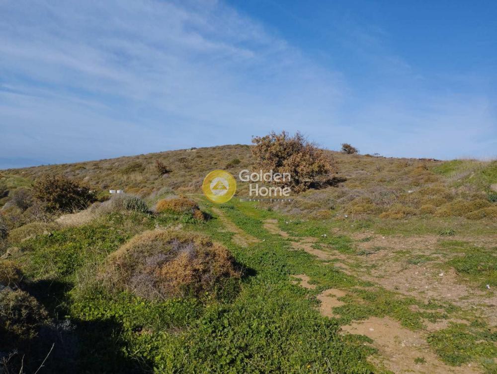 Αγροτεμάχια 18.570 τ.μ. προς πώληση, Αγία Μαρίνα Κέας