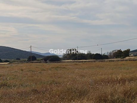Αγροτεμάχια 7.909τ.μ. για πώληση-Αντίπαρος » Κάμπος