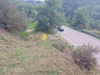Αγροτεμάχια 5.000 τ.μ. για πώληση, Αχαΐα, Μεσσατίδα-thumb-2
