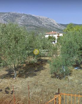 Οικόπεδο 246τ.μ. για πώληση-Παιανία » Τρίγωνο λαγού