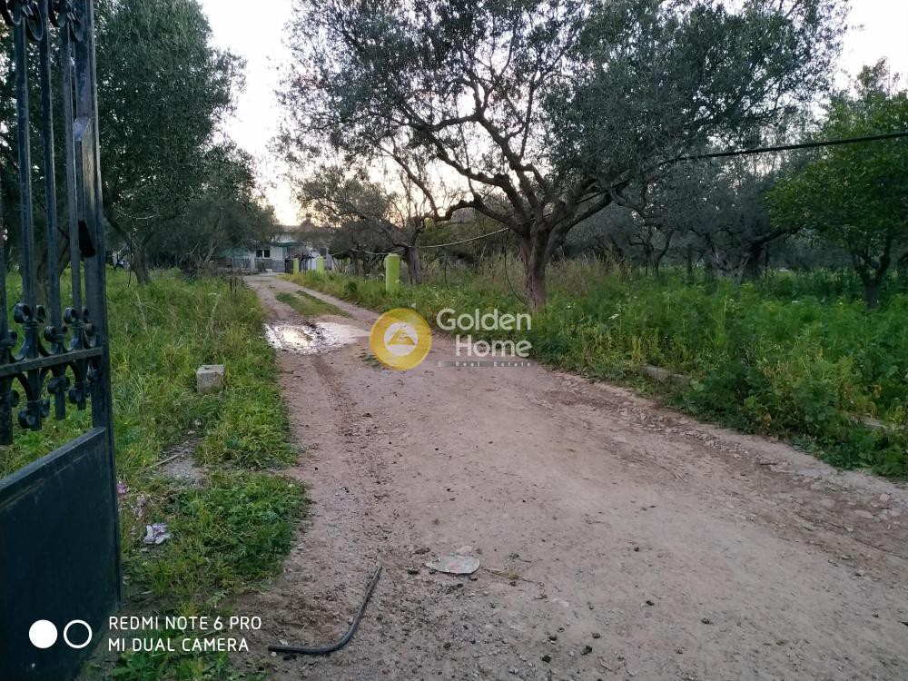 Οικόπεδο 2.216 τ.μ. προς ενοικίαση, Λακωνία, Βοϊων