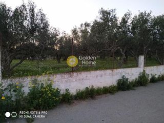 Οικόπεδο 2.216 τ.μ. για ενοικίαση, Λακωνία, Βοϊων-thumb-7