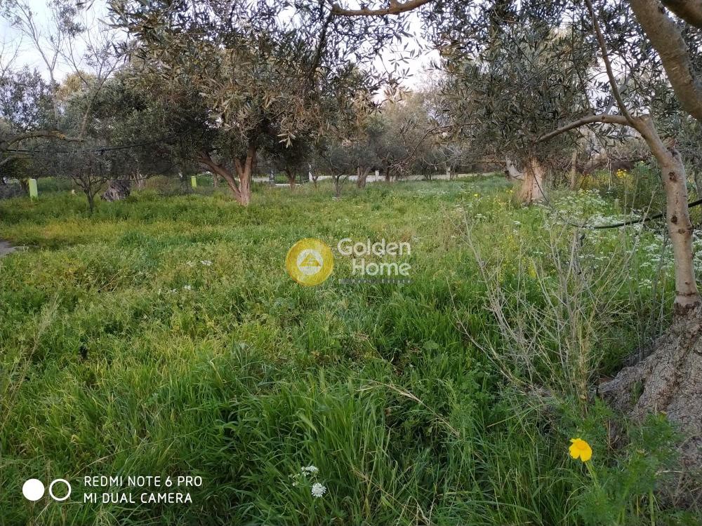 Οικόπεδο 2.216 τ.μ. προς ενοικίαση, Λακωνία, Βοϊων