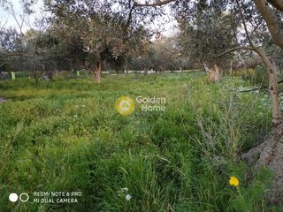 Οικόπεδο 2.216 τ.μ. για ενοικίαση, Λακωνία, Βοϊων-thumb-4