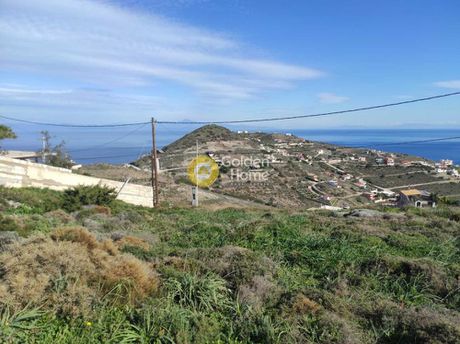 Αγροτεμάχια 480τ.μ. για πώληση-Κερατέα » Πόρτο εννιά