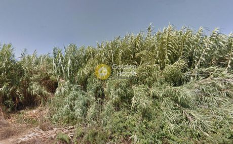 Αγροτεμάχια 30.000τ.μ. για πώληση-Πρέβεζα » Άγιος θωμάς
